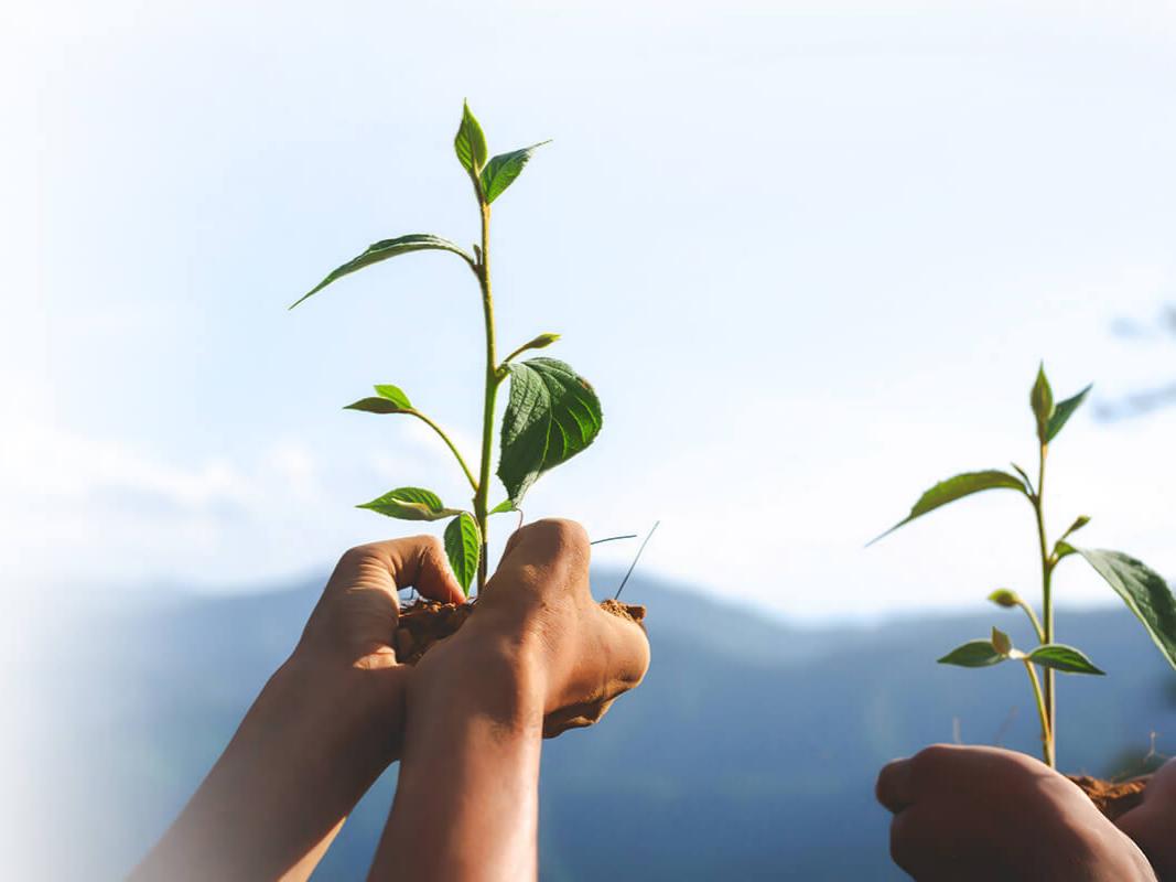 Designed for sustainability
